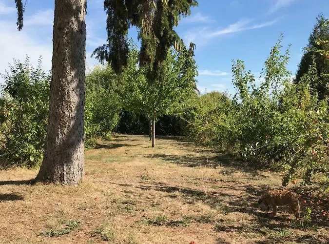 Le De Phal Kır Evi *