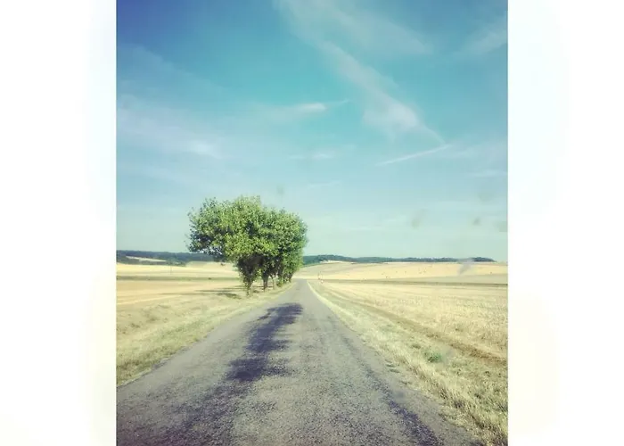 Kır Evi Le De Phal Saint-Phal